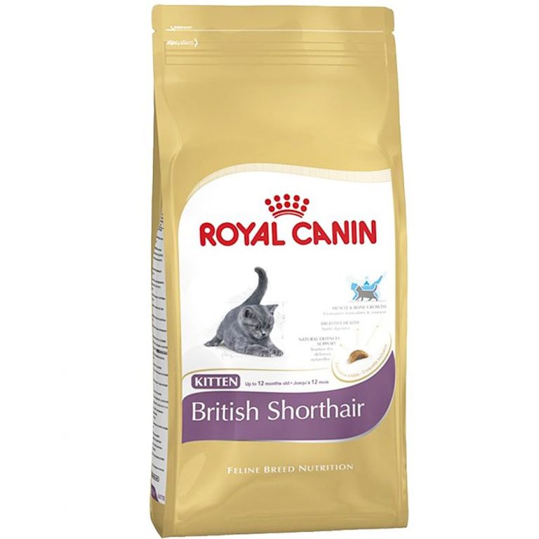 ROYAL CANIN Kitten British Shorthair 10 kg
