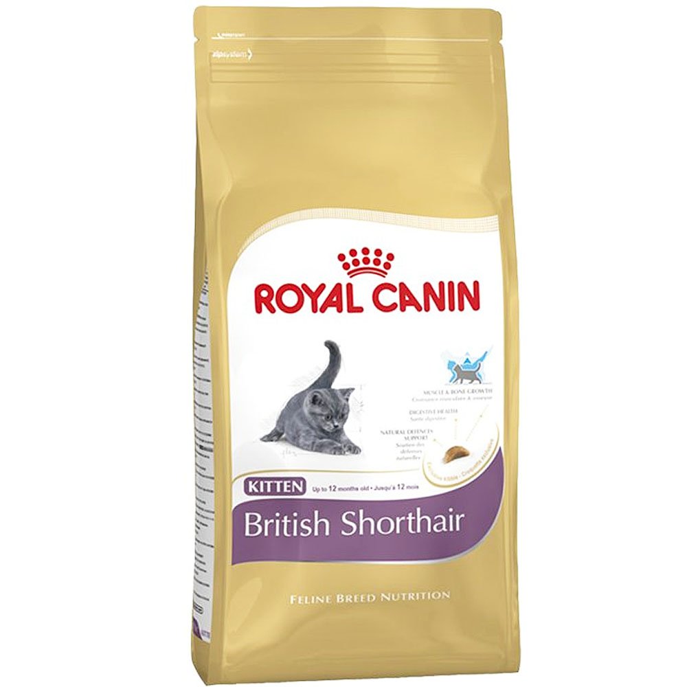 ROYAL CANIN Kitten British Shorthair 2 kg — 1